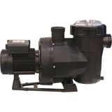 Astral Victoria Plus 3 Hp Trifaze Kendinden Emişli Havuz Pompası