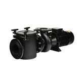 Astralpool Aral Plus C-3000 3 HP Trifaze Havuz Pompası (230/400V - 50hz)