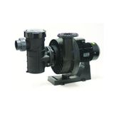 Astralpool Kivu 4 HP Trifaze Havuz Pompası (400/690V)