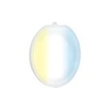 Astralpool LumiPlus Flexi Connect Ayarlanabilir Beyaz Ampül 2750L