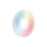 Astralpool LumiPlus Flexi Connect RGB + Beyaz Ampül 2500L