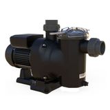 Astralpool Sena 0,75 HP Trifaze Havuz Pompası