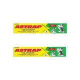 Astrap Fare Yapışkanı Zehirsiz ve Kuvvetli 125ML (2 Adet)