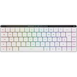 Asus Rog Falchıon Rx Low Profile Rgb Kablosuz Beyaz Mekanik Red Switch Türkçe Gaming Klavye beyaz