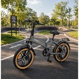 AsVIVA Asvıva BZ10 20 Jant Fat Bike Elektrikli Bisiklet Gri