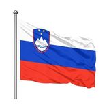 Asya Bayrak Slovenya 70X105 Gönder Bayrak
