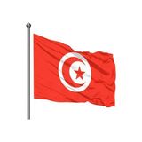 Asya Bayrak Tunus Gönder Bayrağı (100 x150 Cm)