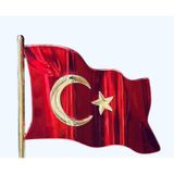 Asya Bayrak Türk Rozet