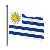 Asya Bayrak Uruguay 70X105 Gönder Bayrak