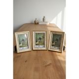 Asya Çerçeve Dekoratif 3'lü Set Antik Desenli Gold 10x15 Ayaklı Plastik Fotoğraf Çerçevesi