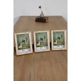 Asya Çerçeve Dekoratif 3'lü Set Antik Desenli Gold 15x21 Ayaklı Plastik Fotoğraf Çerçevesi