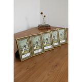 Asya Çerçeve Dekoratif 5'li Set Antik Desenli Yeşil 15X21 Ayaklı Plastik Fotoğraf Çerçevesi