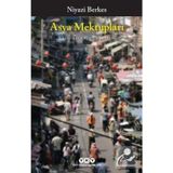 Asya Mektupları - Gezi İzlenim Eleştiri - Niyazi Berkes