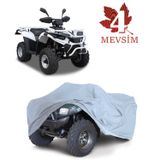 Asya Motor Buggy 150 Motor Brandası