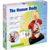 Asya Oyuncak Human Body Vücut Maketli Doktor Seti