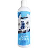 Asyaink Kedi ve Köpek Şampuanı 400 ml Okyanus Kokulu