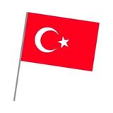 Asyaon Sopalı Kağıt Bayrak Büyük 10 Adet
