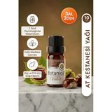 At Kestanesi Yağı Saf Maserasyon Yağı Bacak Masajı Vücut Bakımı Horse Chestnut Oil 10 Ml Pura Morena