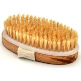 At Kılı Selülit Masaj Fırçası Peeling Fırça %100 Doğal Gerçek At Kılı