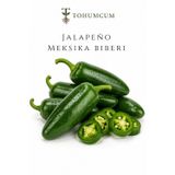 Ata Tohum | Doğal Jalapeno Tohumu & Meksika Biberi Tohumu (100 Ad)