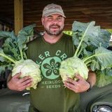 Ata Tohum Geleneksel Giantl Kohlrabi (Alabaş) Tohumu (15 Tohum)