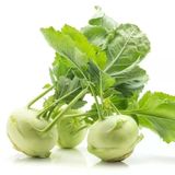 Ata Tohum Geleneksel Yeşil Kohlrabi(Alabaş) Tohumu (20 Tohum)