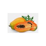 Ata Tohumculuk 10 Adet Tohum Ithal Nadir Tropikal Bodur Papaya Ağacı Tohumu Papaya Meyvesi Süpriz Hediye