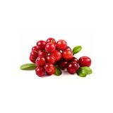 Ata Tohumculuk 10 Adet Tohum Yaban Mersini Tohumu Cranberry Turna Yemişi Tohumu