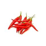 Ata Tohumculuk 20 Adet Tohum Süper Paket Şili Biberi Tohumu Çok Acı Chili Biberi Tohumu