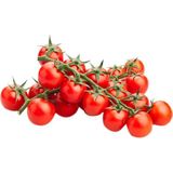 Ata Tohumculuk 20 Tohum Eko Paket Nadir Çeri Cherry Ithal Domates - 20 Adet