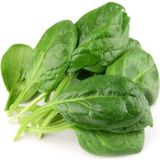 Ata Tohumculuk 250 Tohum Geleneksel Ispanak Tohumu Yeni Sezon