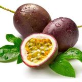 Ata Tohumculuk 3 Adet Passiflora Meyve Tohumu