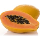 Ata Tohumculuk 5 Adet Tropikal Bodur Papaya Ağacı Tohumu
