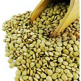 Atabaşak Atalık Tohum Yeşil Mercimek 500 Gram