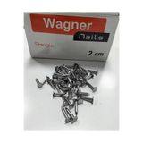 AtasoyTicaret Şıngıl Çivisi Shingle Çivi Çatı Membran Çivi 2 Cm (500Gr)