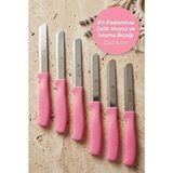 Atbyhome Feller 6'lı Lazer Tırtıklı Paslanmaz Çelik Sebze Meyve Bıçağı 22X2.4 cm - Pembe Saplı Soyma ve Doğrama Seti - 0 - 19 L