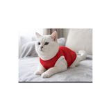 atelyu kedi köpek kıyafeti ince file yazlık tshirt
