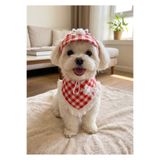 atelyu kedi köpek kıyafeti kırmızı kareli bandana şapka set