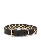 Aten Handmade Deri Köpek Tasması Siyah M (36-45CM) Cl-At-Bl-M