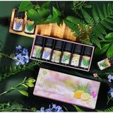 AteşTech Aromatik Uçucu Yağ Saf 6 Lı Set Karışık Başlangıç Paketi Aroma Terapi - 100 gr
