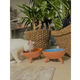 Ath Store 20 cm Çömlek Kedi - Köpek Mama-Su Kabı Ayaklı Sırlı 2'li