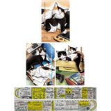 Athica Books Kedim Oyunlarım ve Ben 6-7-8. Ciltler Manga Seti + Özel Cetvel