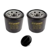 Atiker LPG Filtresi ASF 2 Adet