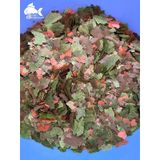 Atılım Akvaryum Pro Guppy Tropikal Balık Yemi Lepistes Yemi 25 G