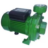 Atlantis Blu Dmla 30-1.5M 2 Hp Tek Kademeli Basınçlı Santrifuj Bahçe Pompası 220V - 9996669950279