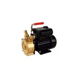 Atlantis Yag 40M 0.50 Hp 220V Yağ Aktarım Pompaları 1400 D/d