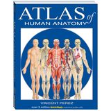 Atlas of the Human Anatomy: A Quickstudy Reference
