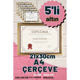 Atlas Sanat Galerisi 5 Adet A4 Çerçeve Diploma Belge Sertifika Fotoğraf Resim Çerçevesi Pvc 5 Li Altın