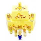 Attar Esansları - İnsense (Düzinesi)