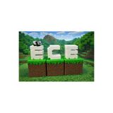 AU Design İsme Özel Minecraft Blok Kutuları " Panda Hediyeli" 3-4-5 Harf